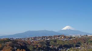 愛鷹山と富士